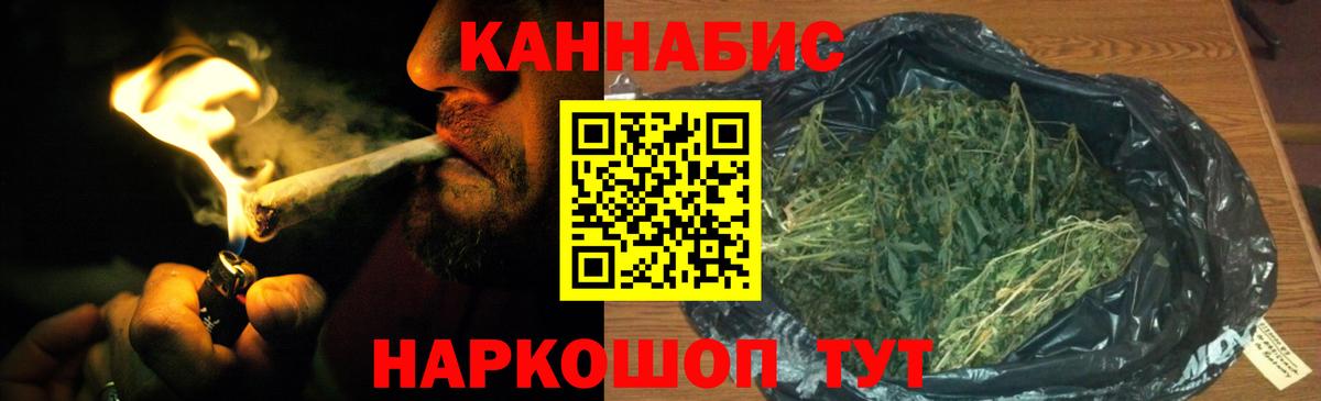 Бошки Шишки индика Нарткала
